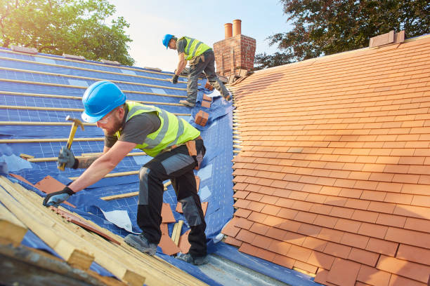 Best Skylight Installation and Repair  in Justice, OK